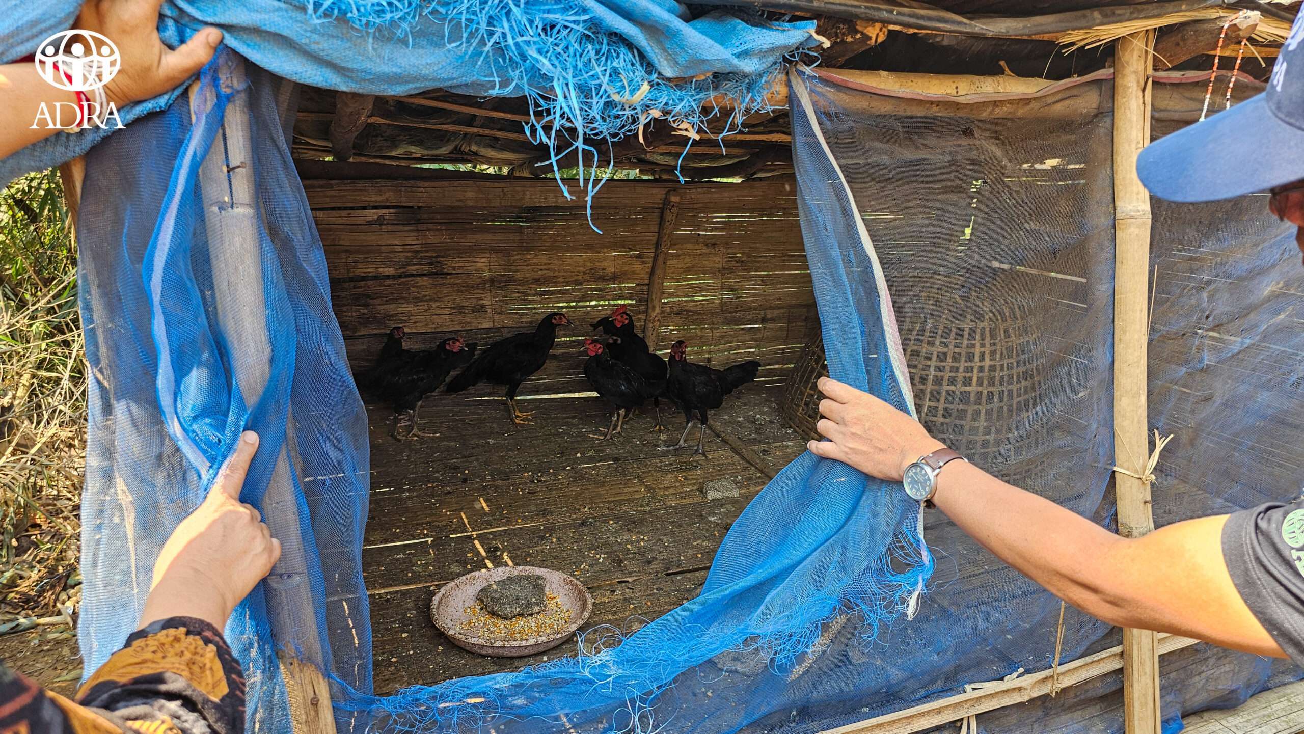 20250304_031709531_iOS