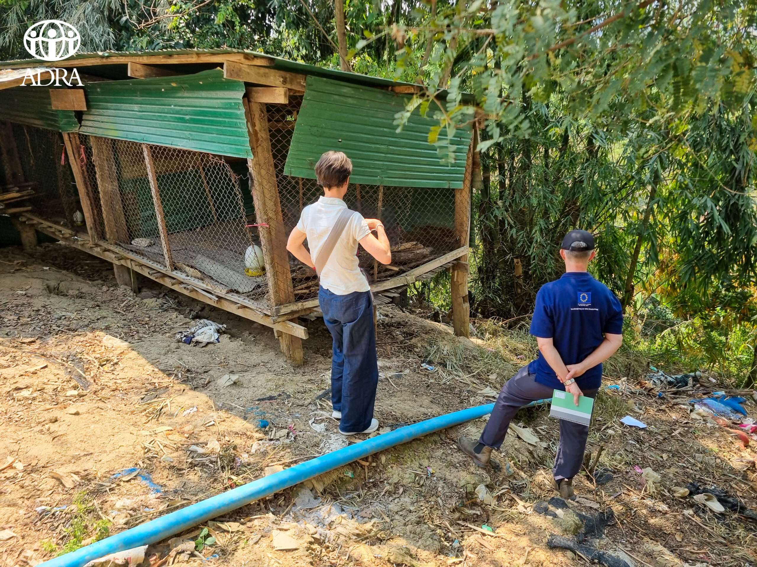 20250304_051508591_iOS