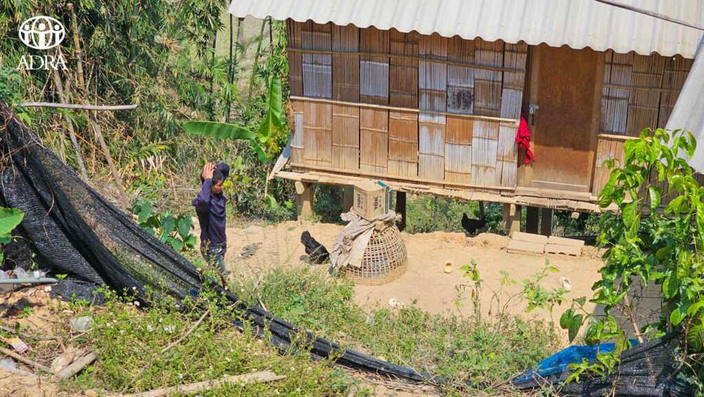 20250304_052651992_iOS