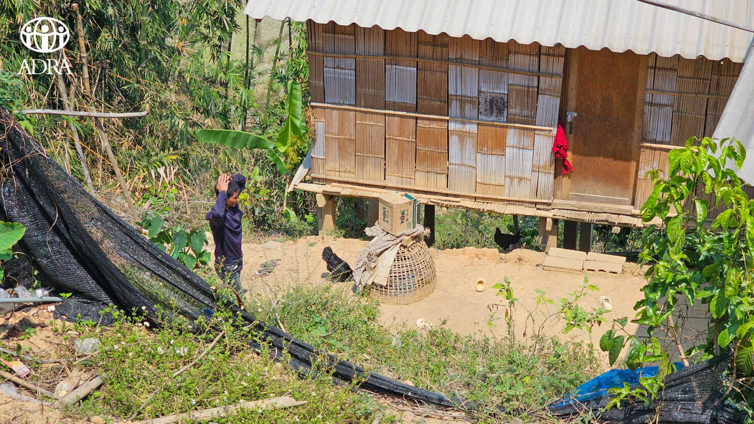 20250304_052651992_iOS